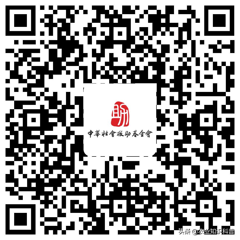 5岁男童反复高烧39.3度怎么办,5岁男孩反复高烧不退咳嗽