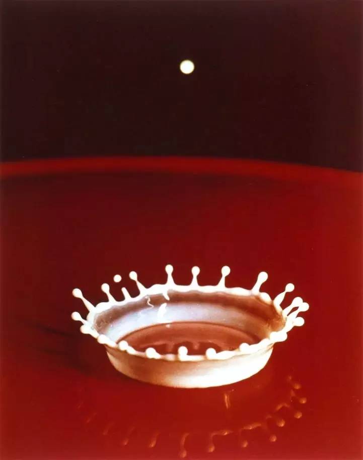 杰作20种构图原理,拍出绝世佳作视频