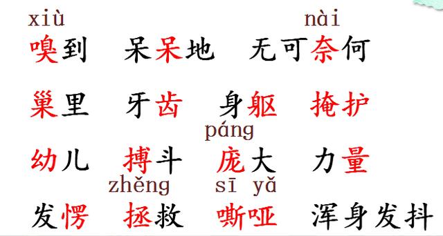 部编四上语文麻雀优质课课堂实录,四上语文麻雀第二课时教案逐字稿