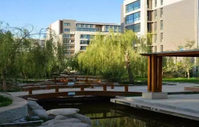 银川森林半岛最新消息视频,银川最低调的富人区