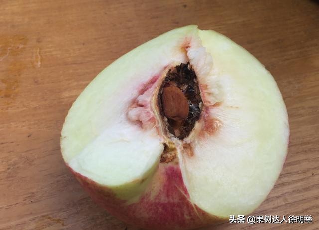 桃子成熟以后裂核怎么回事,桃子桃核裂开怎么回事