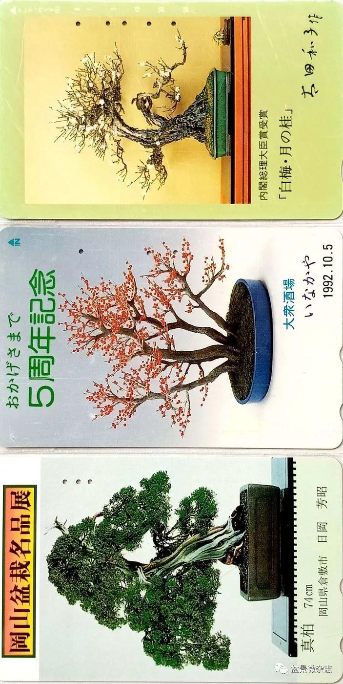 鐩嗘櫙鑱旂郴鐢佃瘽鍙风爜,涓鐩嗘櫙鑱旂郴鏂瑰紡