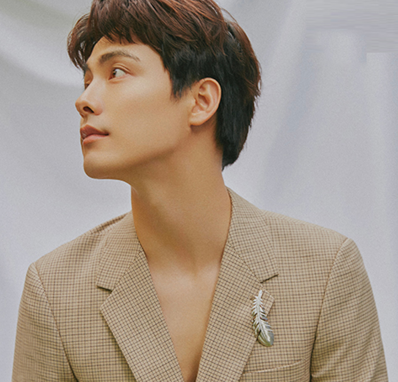 马天宇戴的戒指,马天宇羽毛胸针