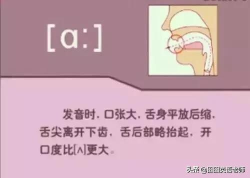 48个英语国际音标发音表图片,英语48个音标发音附详细图解视频
