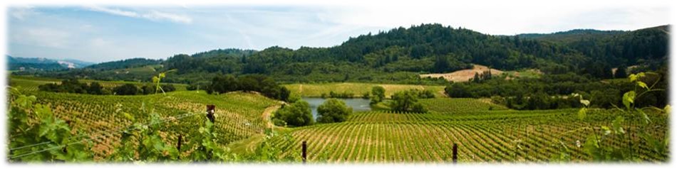 注意了，过年回家要是带上它，爸妈保证欢喜