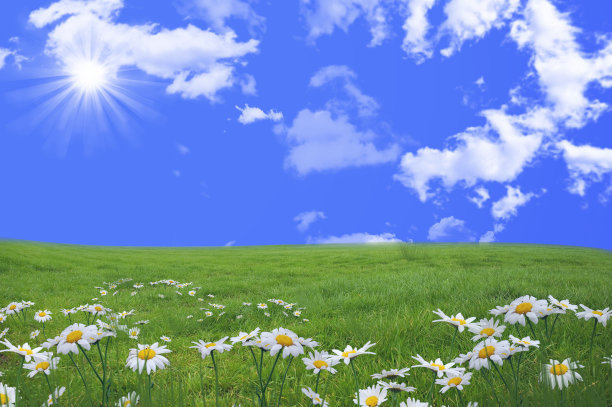 恭喜你发财经典语录,恭喜你发财了语录