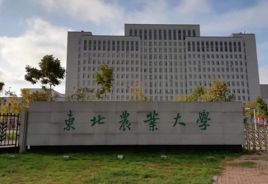黑龙江省省内排名第五的学校一一东北农业大学