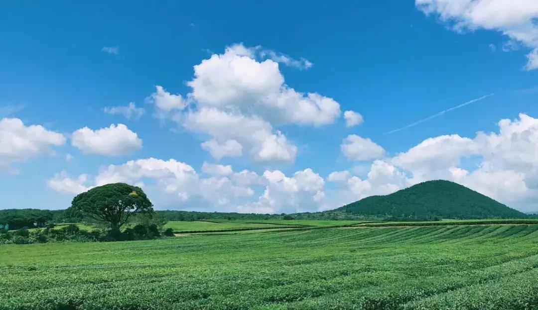 济州岛小清新旅游攻略,济州岛冬日街景