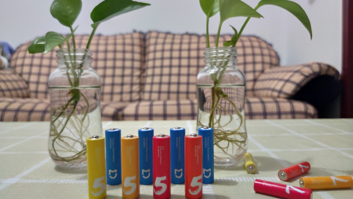 2900毫安锂电池,2900ma的电池