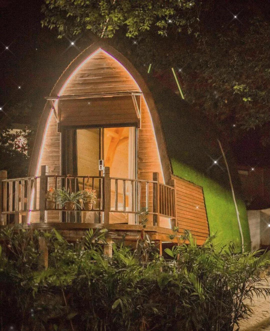 宫崎骏的童话森林,宫崎骏的森林什么意思