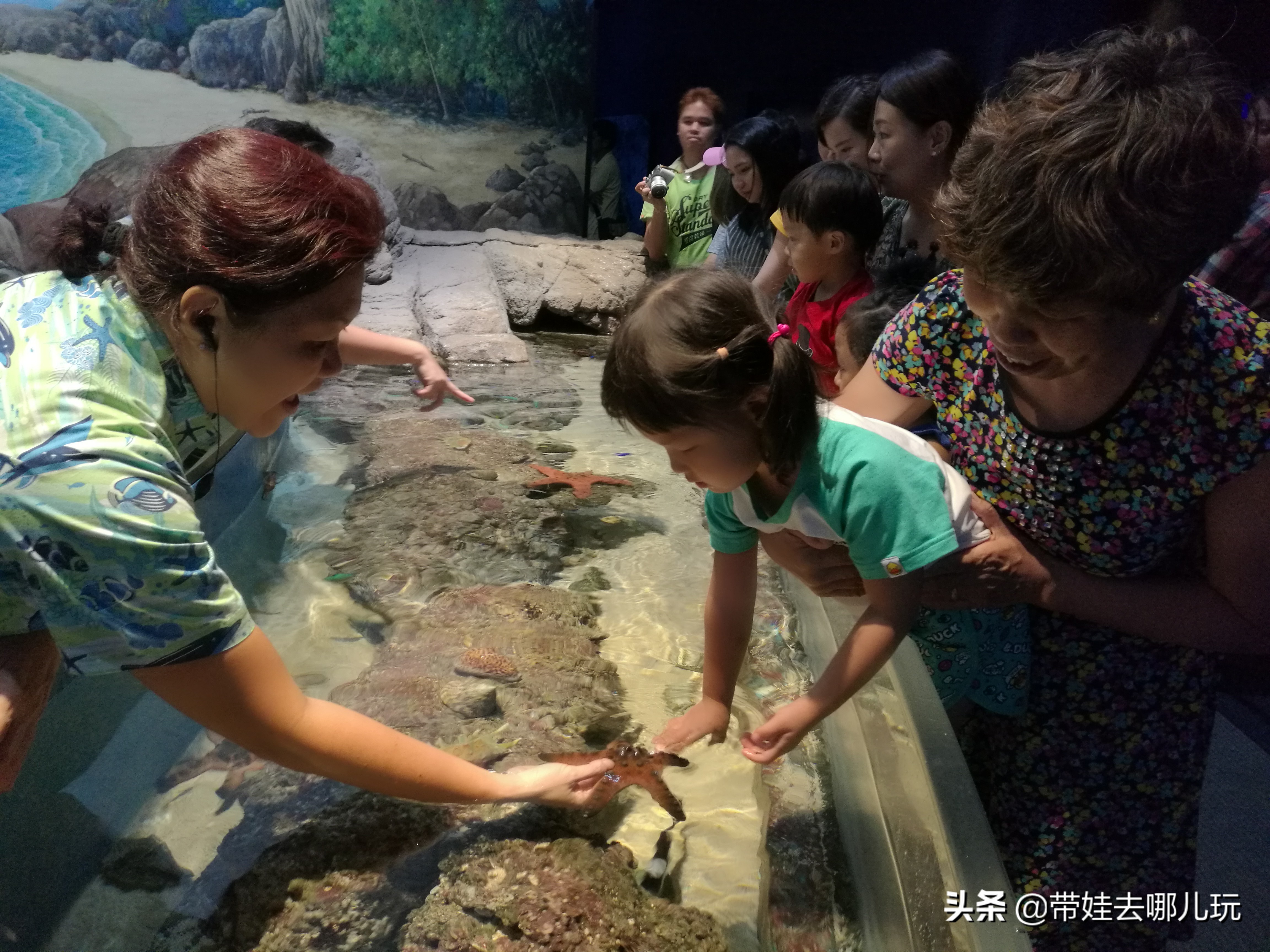 新加坡圣淘沙岛游视频,环球影城圣淘沙海洋馆