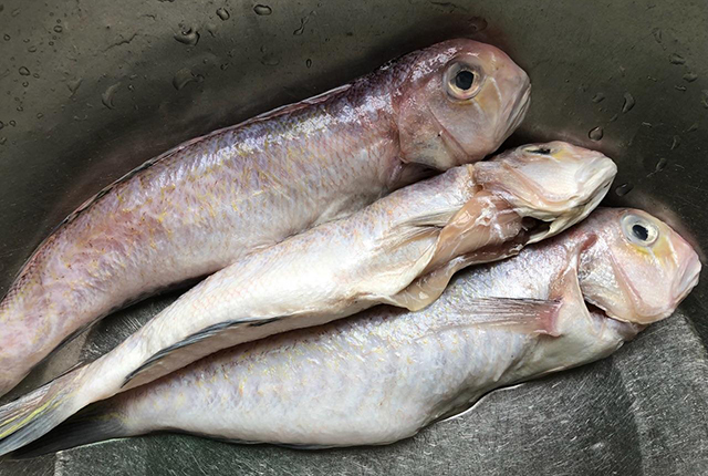市场上有没有纯野生的鱼,纯野生便宜的鱼有哪些种类