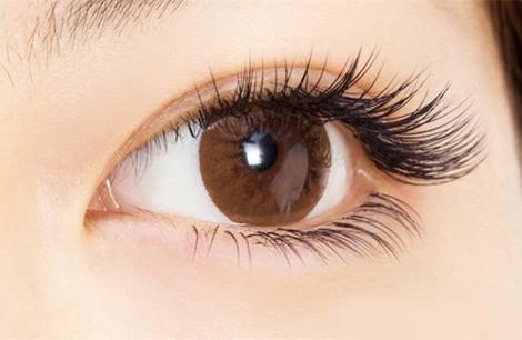 贴假睫毛一整条教程,贴假睫毛最详细教程
