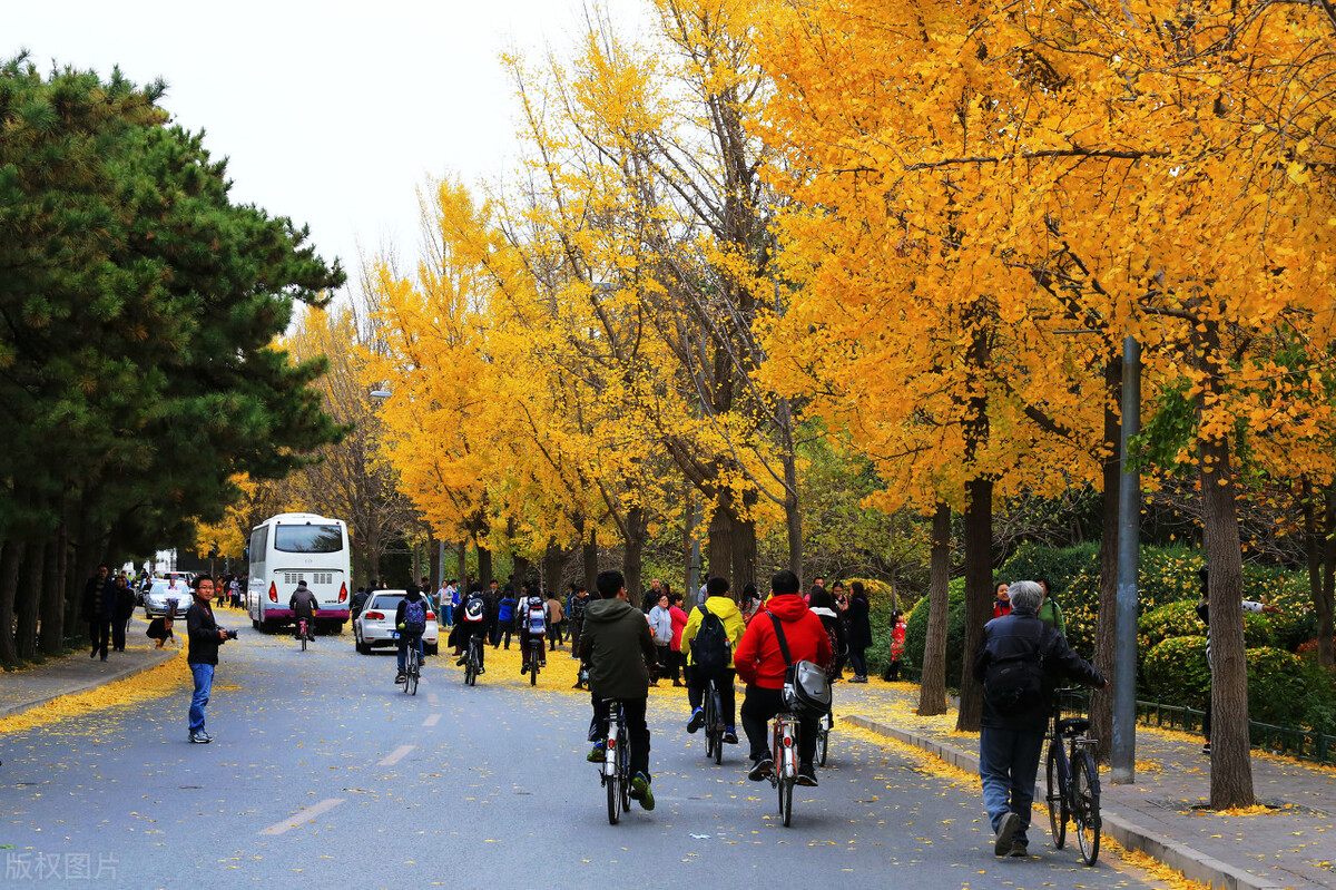 qs亚洲大学排名2022完整版,2023年the世界大学排名完整版