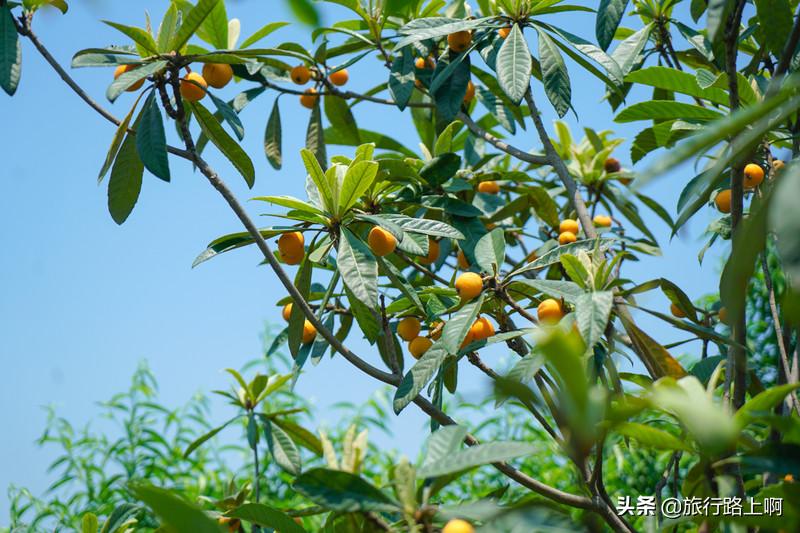 杭州最好的十大古镇,杭州最值得去的古镇老街