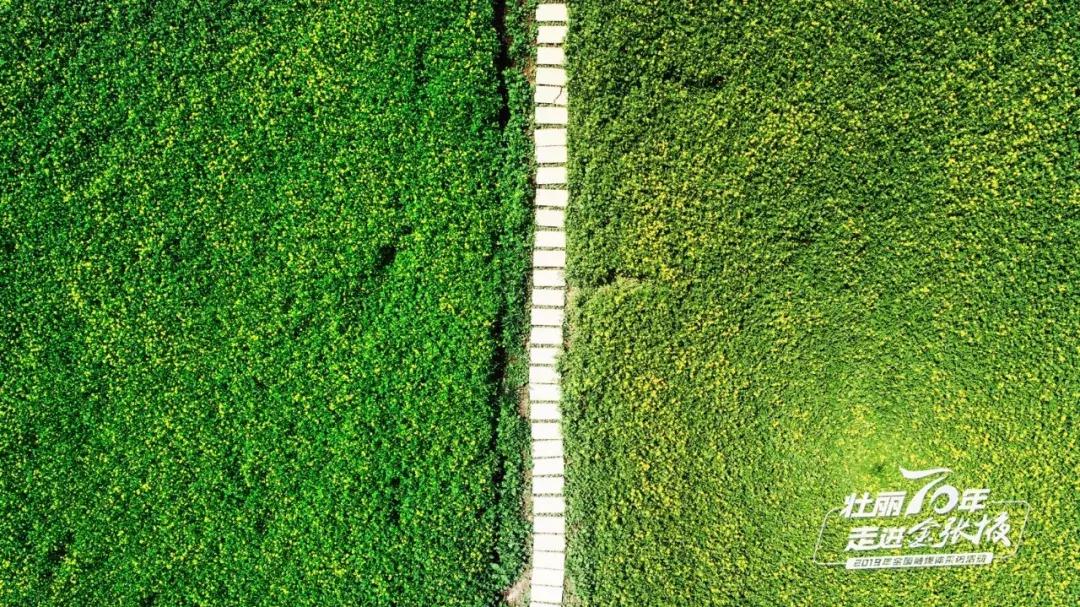 甘肃宝藏最多的地方,甘肃这座宝藏小城