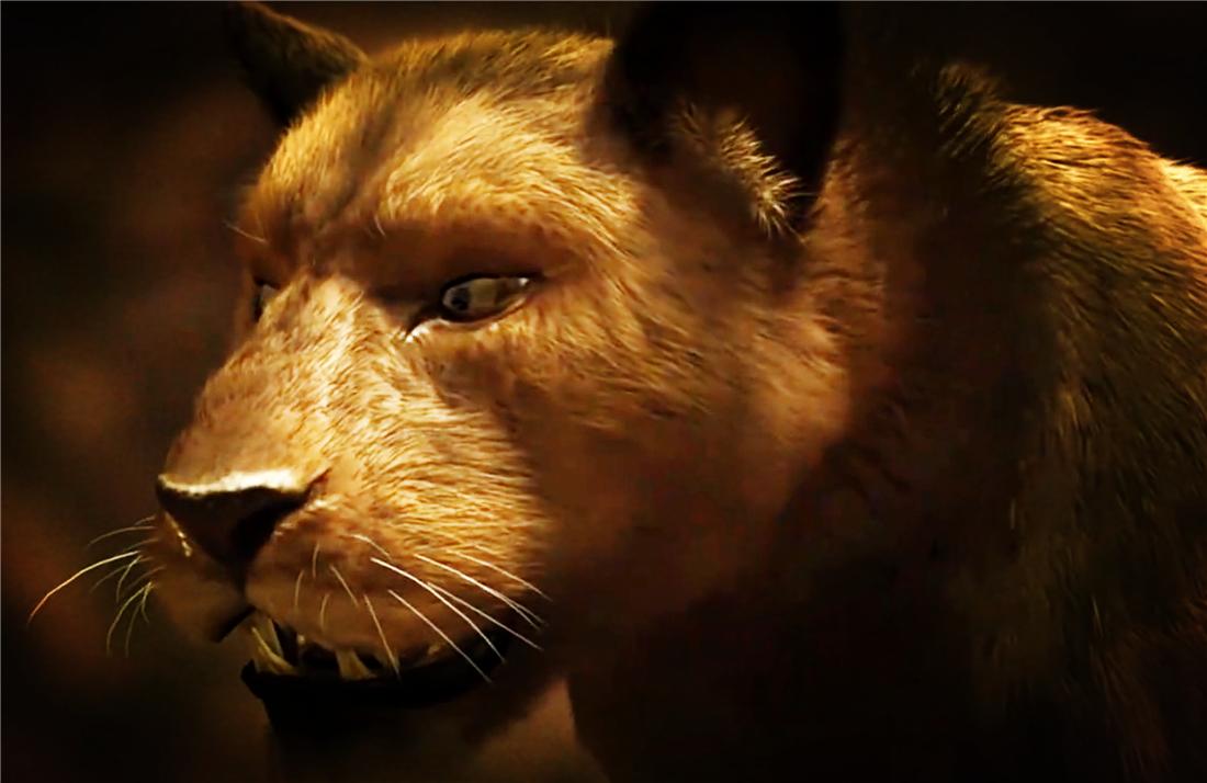 残暴狮母狮,残暴狮打得过原始狮吗