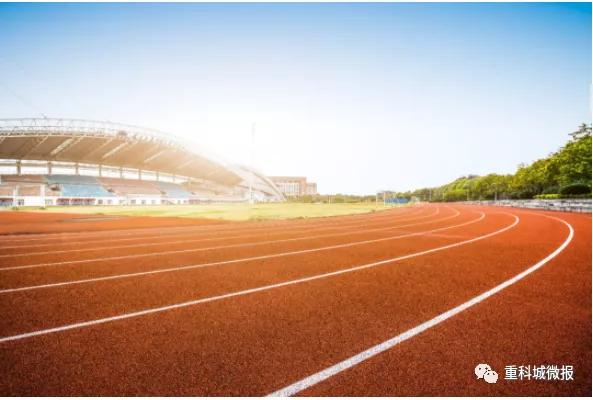 南开中学、南渝中学、树人小学、沙坪坝小学……这些名校扎堆了