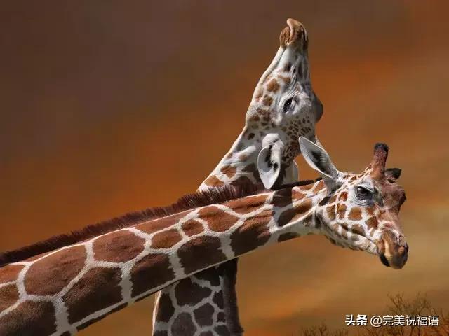 今天2.1，2月第1天，谁编的，太好笑了，给群里乐一乐~