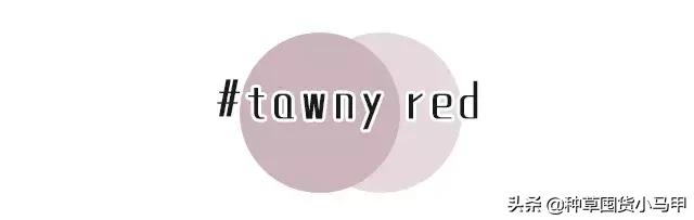 专柜卖假货,卖假货到底该不该硬气回应