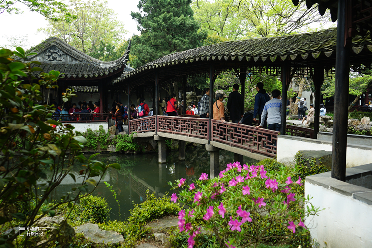 苏州景点拙政园,苏州拙政园感受