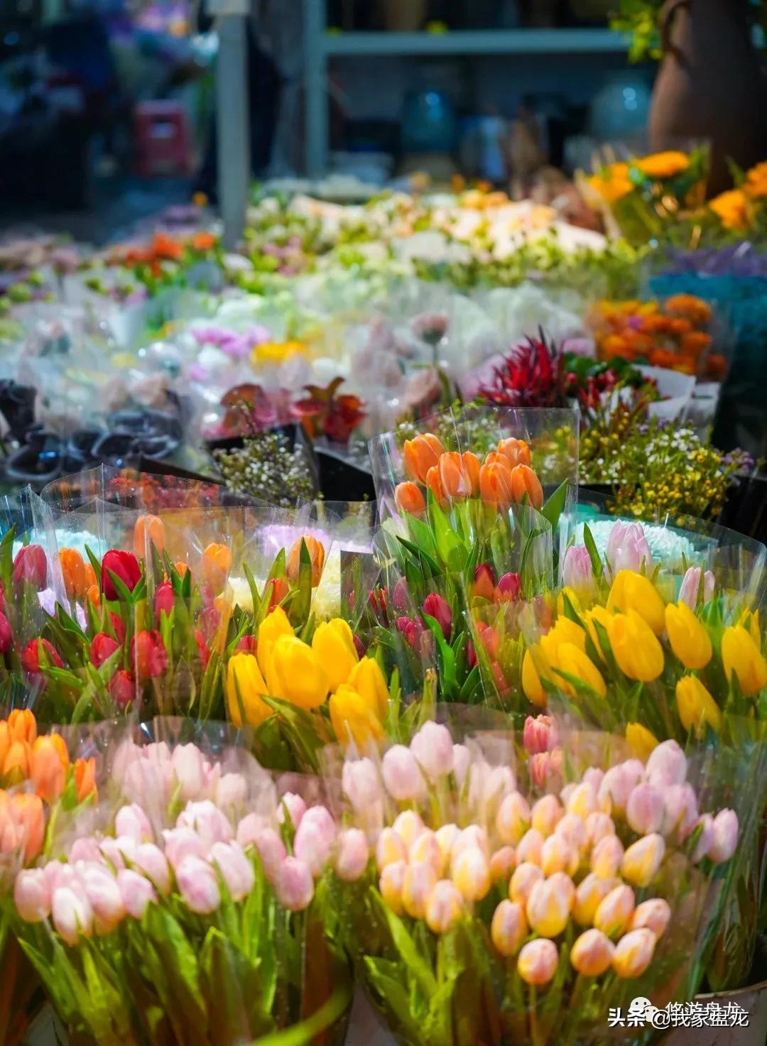 100张照片一百种幸福,100张图片带你去云南