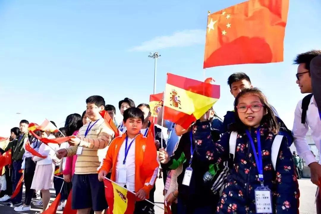 旅欧华人,旅欧者回国创业