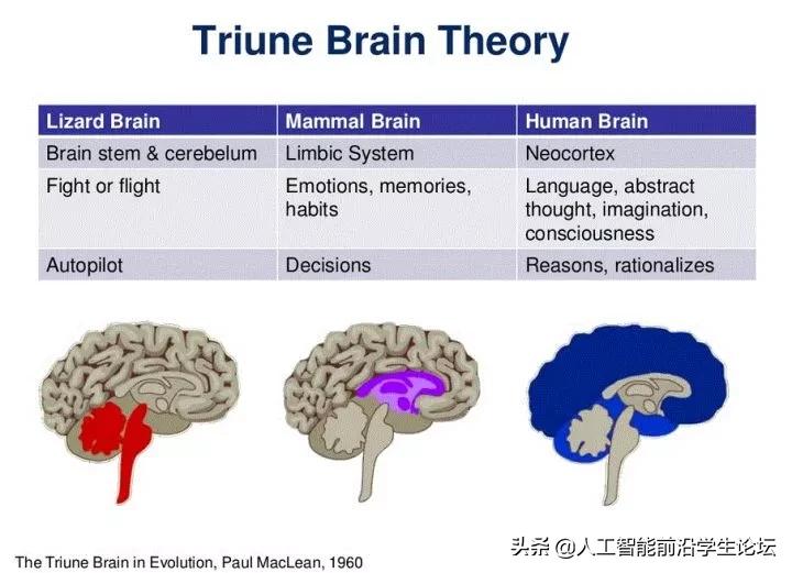 生物，AI，心理：目前的大脑/认知/意识/AGI/DRL模型