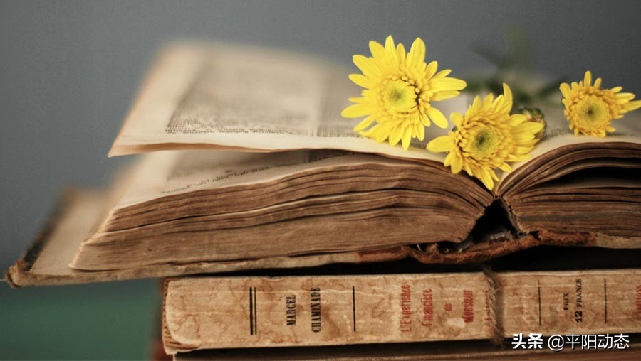 平阳中学生优秀作文,平阳中考作文