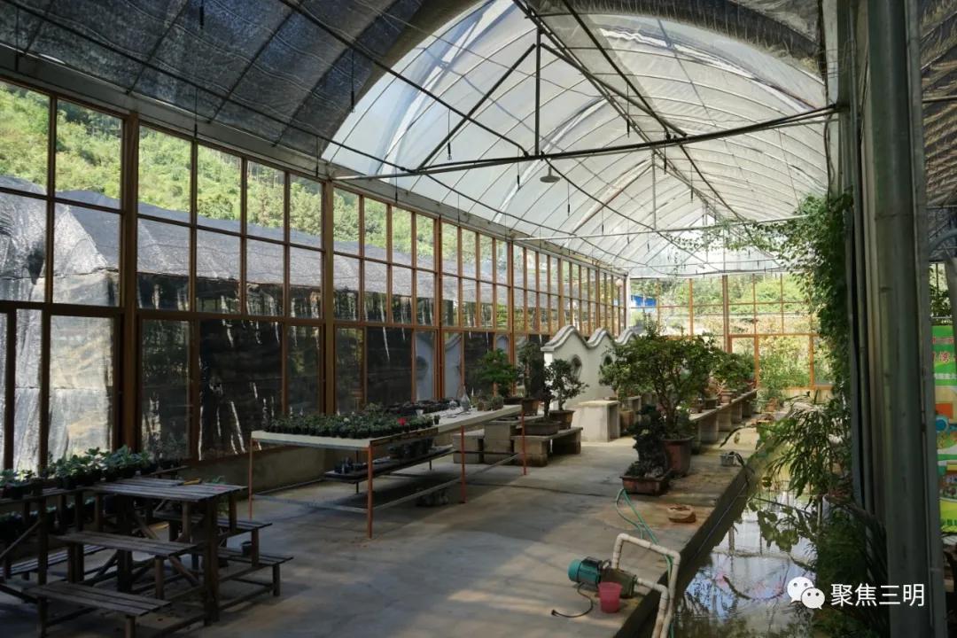 中国绿都最氧的三明将乐,中国绿都最氧三明康养之旅
