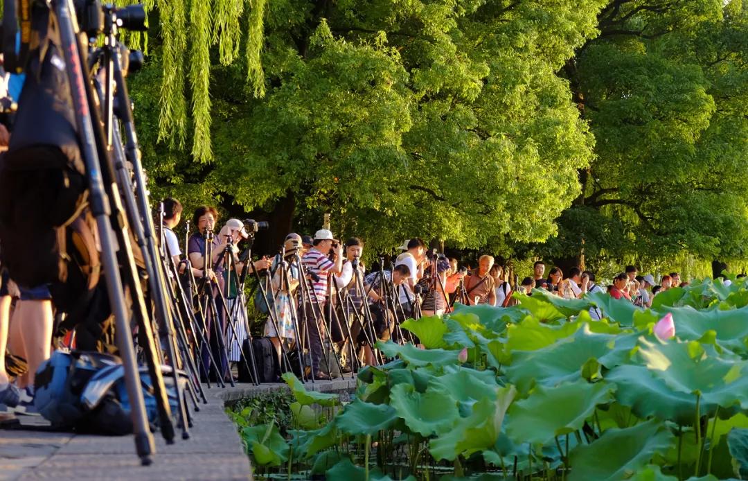 你在想五一去哪,他们在想五一怎么活