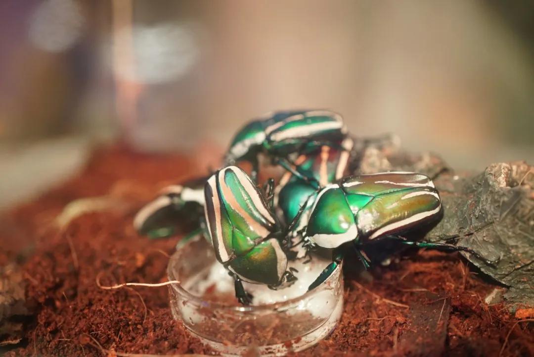 占地30000㎡！这艘建在安华汇天台上的巨船，竟是亲子乐园