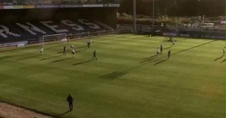 ai误认裁判光头为足球裁判,足球转播ai对焦到裁判的头上