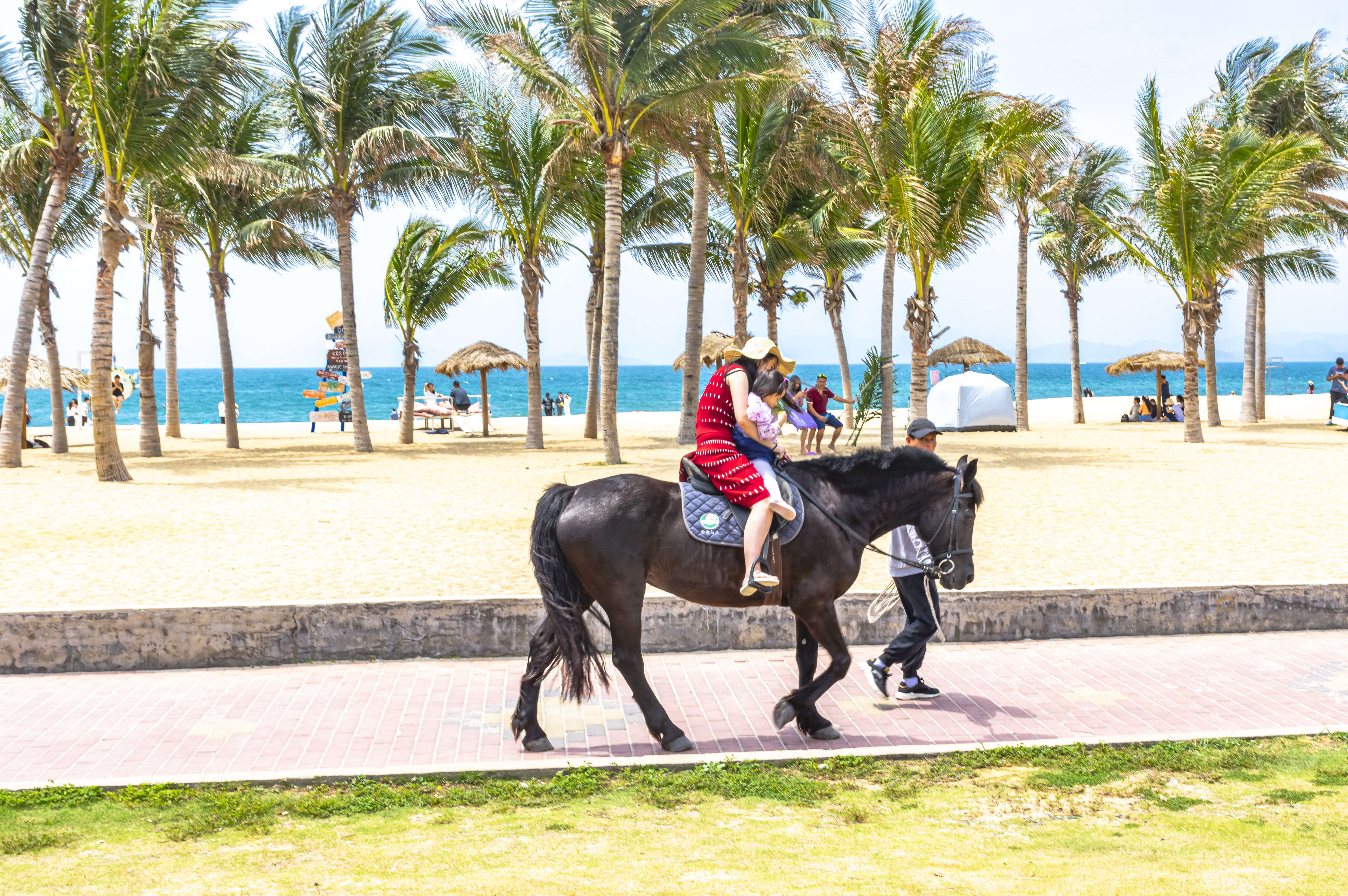 深圳玫瑰海岸，是一个你来一次，还会带着爱人再想来1次的地方