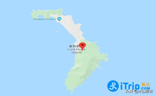 豪勋爵岛竹节虫,澳洲黄金海岸景点推荐