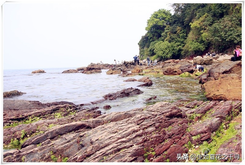 深圳市杨梅坑美人鱼拍摄基地,深圳大鹏杨梅坑美人鱼拍摄地点