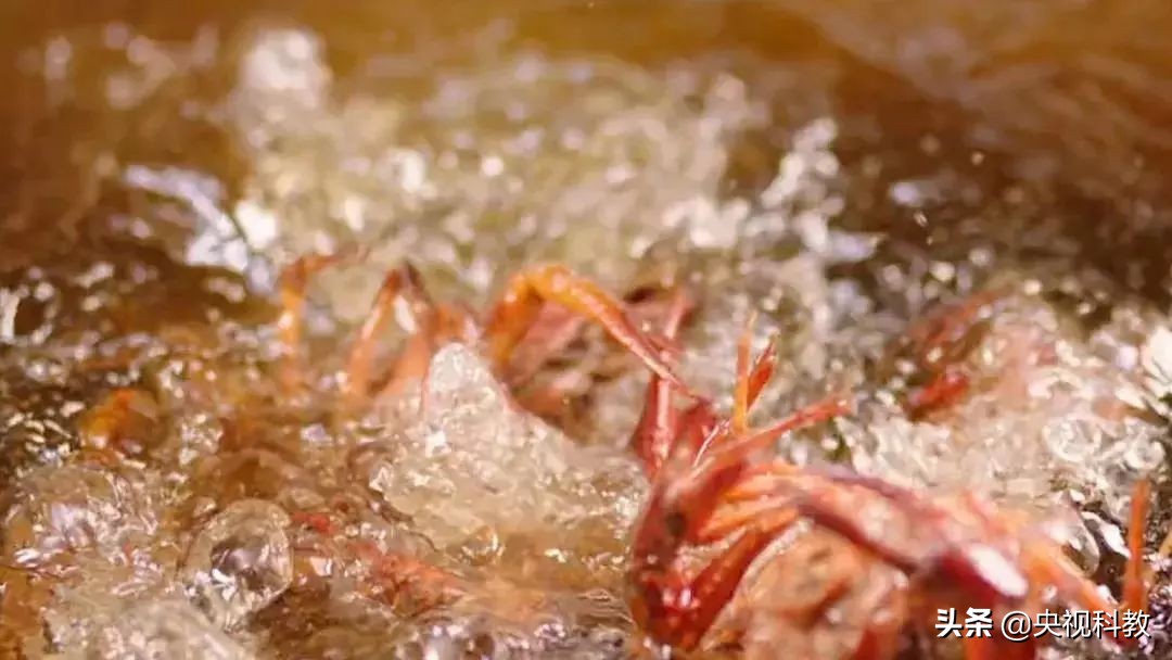 油锅起火怎么办别慌来支招,油锅着火别着急下一句