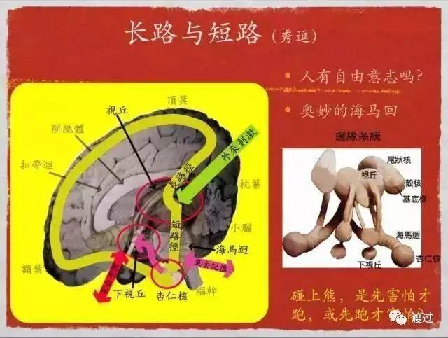 认知行为疗法抑郁改善实验项目,双相障碍伴抑郁如何制定治疗方案