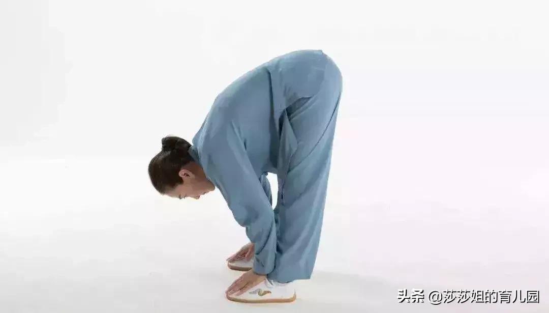 五脏养生的四季规律,五脏与体质养生