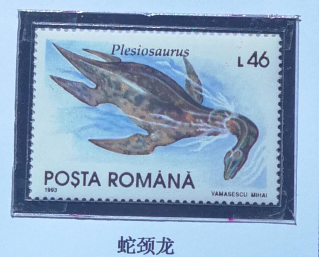 恐龙时代恐龙的最强霸主,恐龙称霸时间有多久