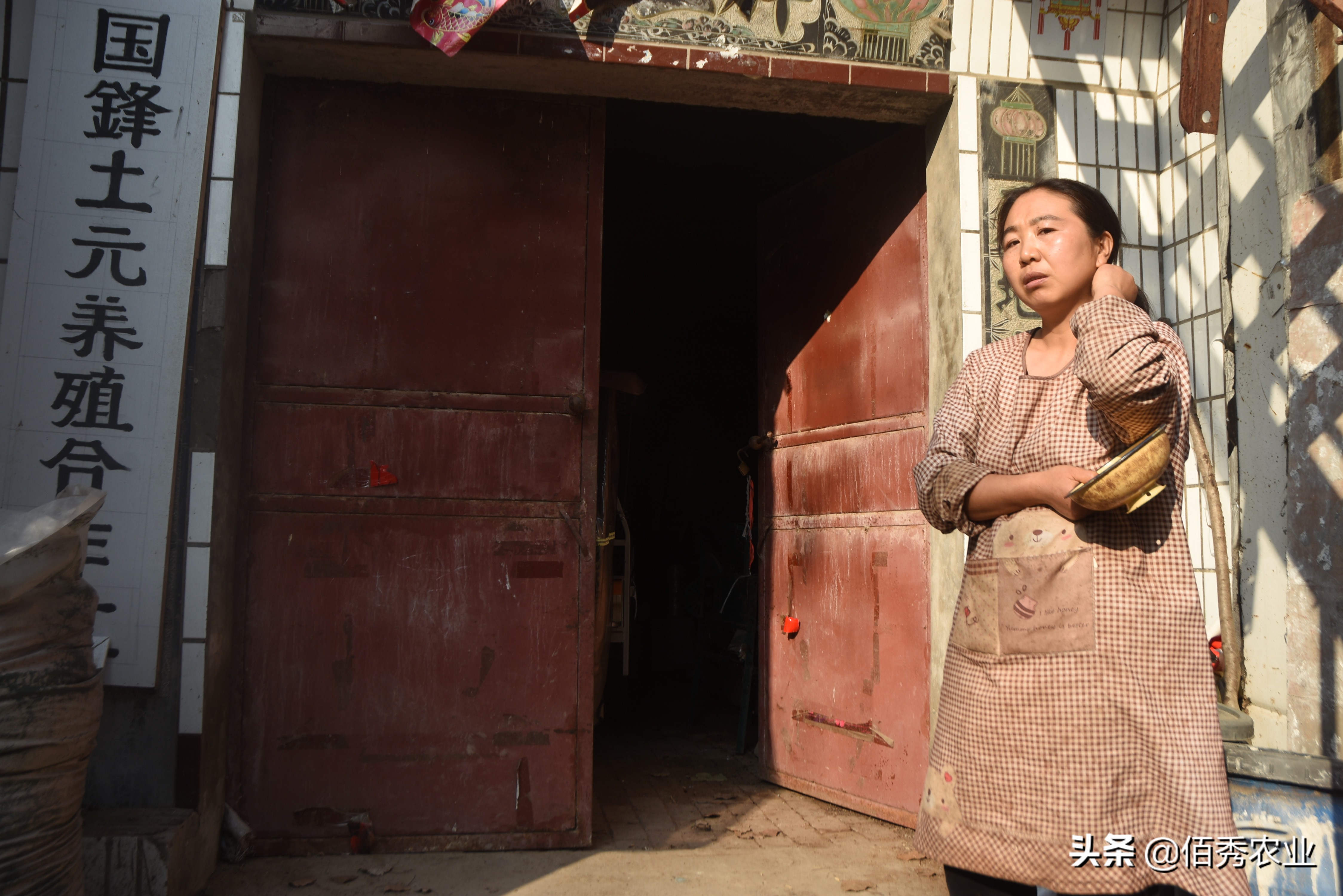 一个农村妇女可以做什么赚钱养家,农村妇女什么不懂可以做什么赚钱