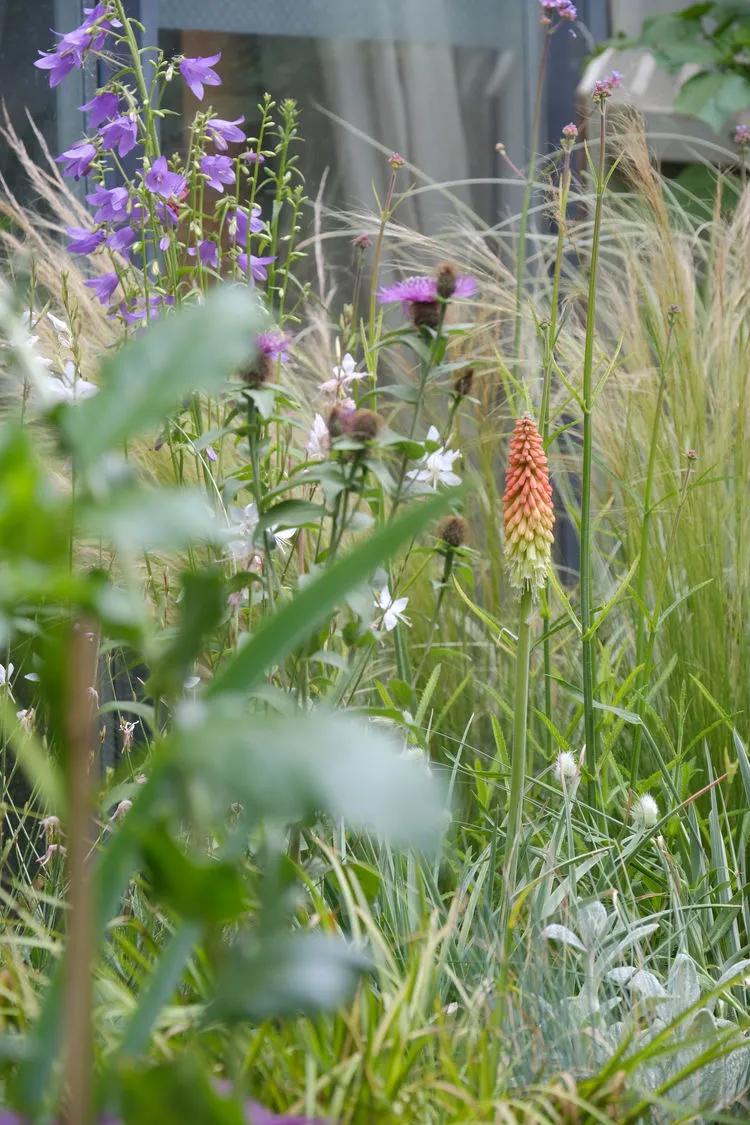 三年前买了套绿地110平三房130万,三年前耗资百万打造小院出售