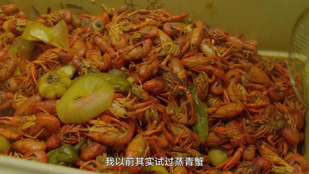 胖子的心灵砒霜,胖子的灵魂转移到帅哥身上电视剧