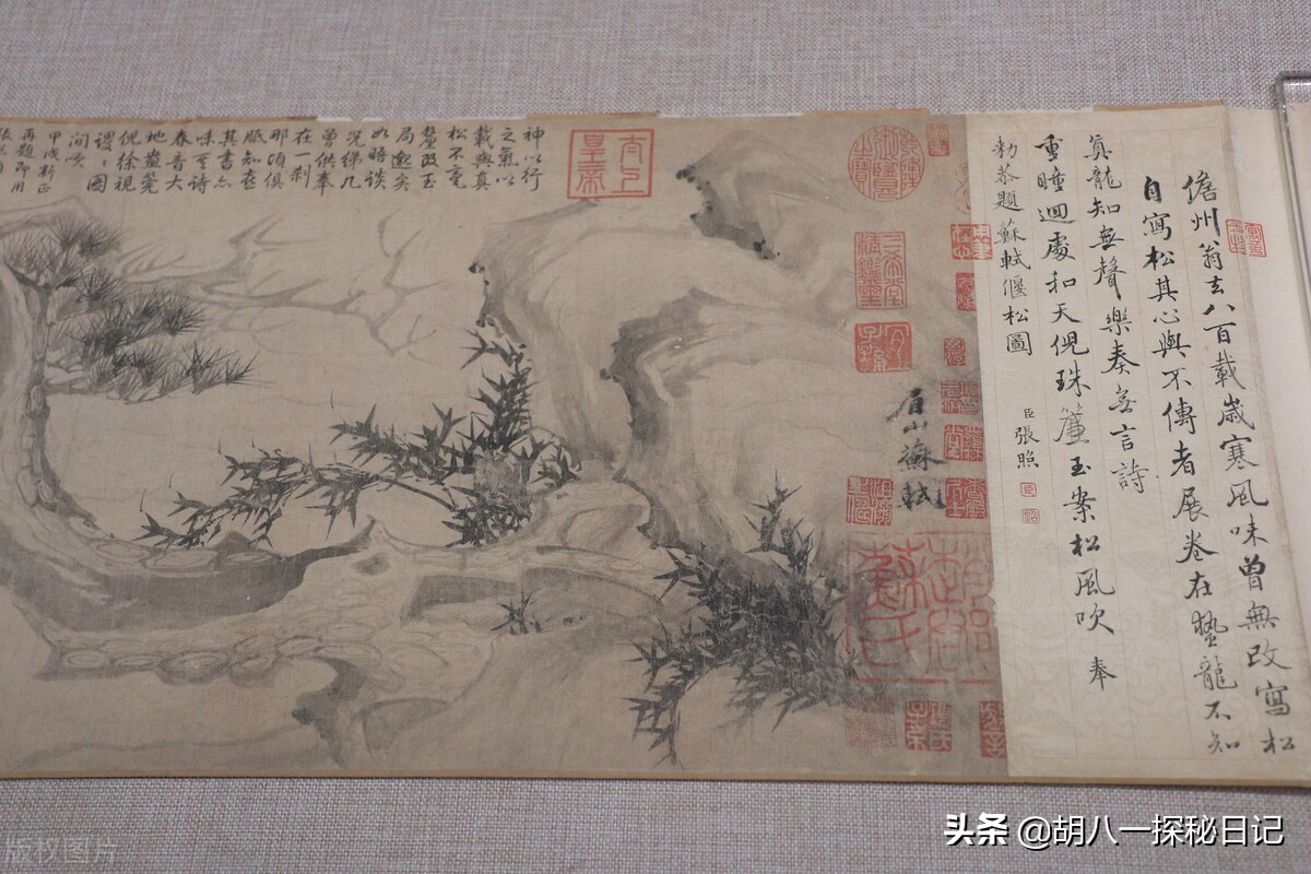 苏东坡和苏轼的历史,一代文豪苏轼的传奇一生