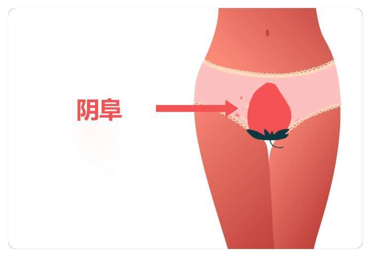 穿紧身裤小腹大？小腹：这个锅我不背