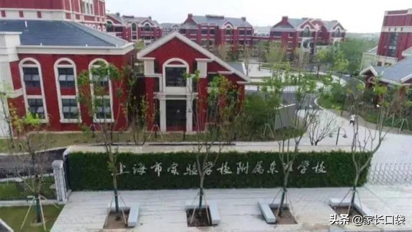 上海学校被名校托管的弊端和好处,上海有哪些学校被海亮教育托管