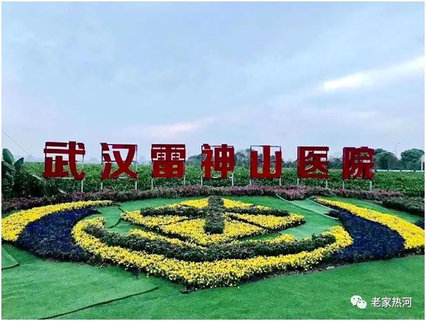 惊！承德市女护士六篇日记曝光，告诉你真实的武汉抗疫