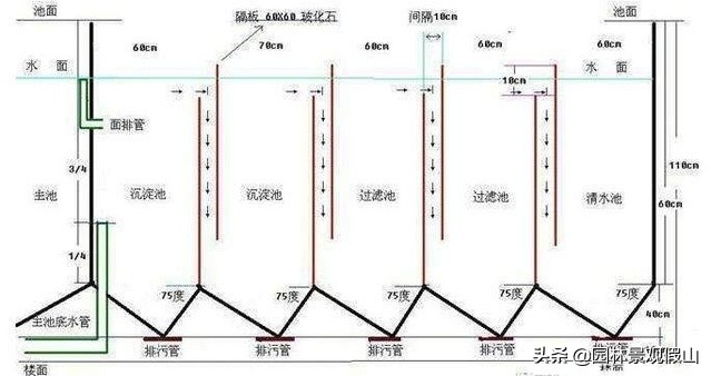 园林假山鱼池设计教程,鱼池假山怎样建才好看