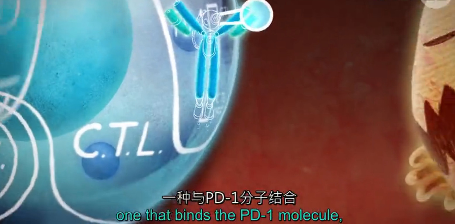 pd1肿瘤免疫治疗现状,什么是pd1免疫治疗费用