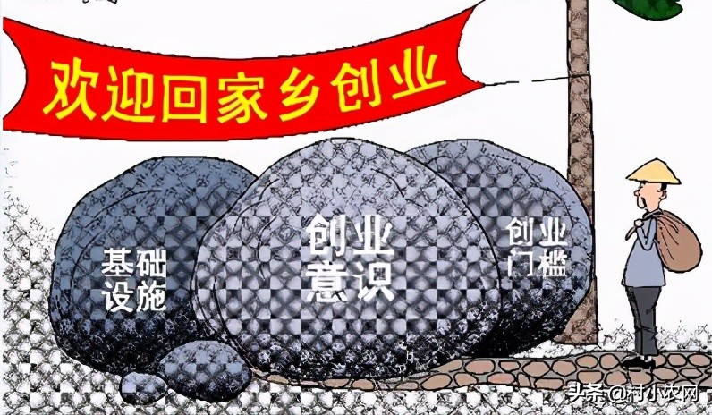 农村创业100万养殖什么最赚钱,农村致富创业养殖好项目养羊